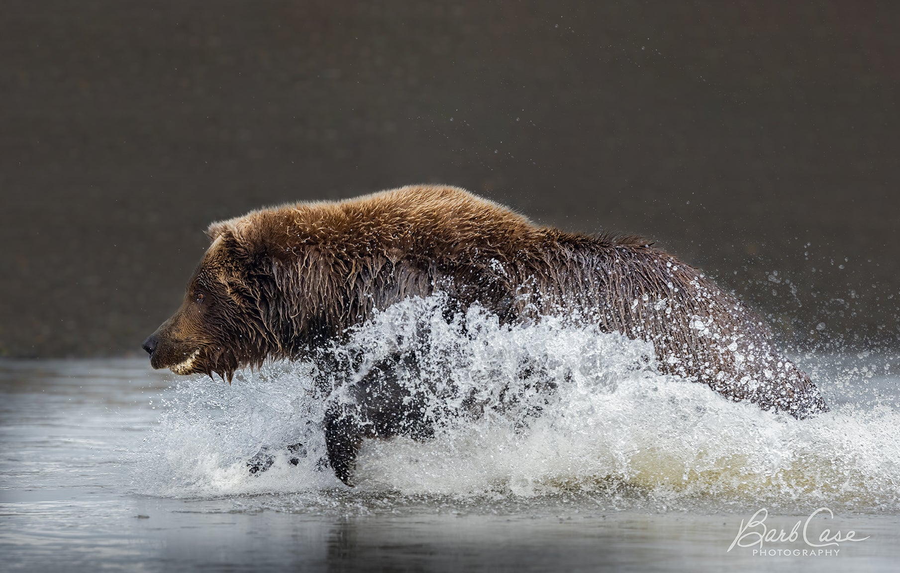 I've Got It – Barb Case Photography