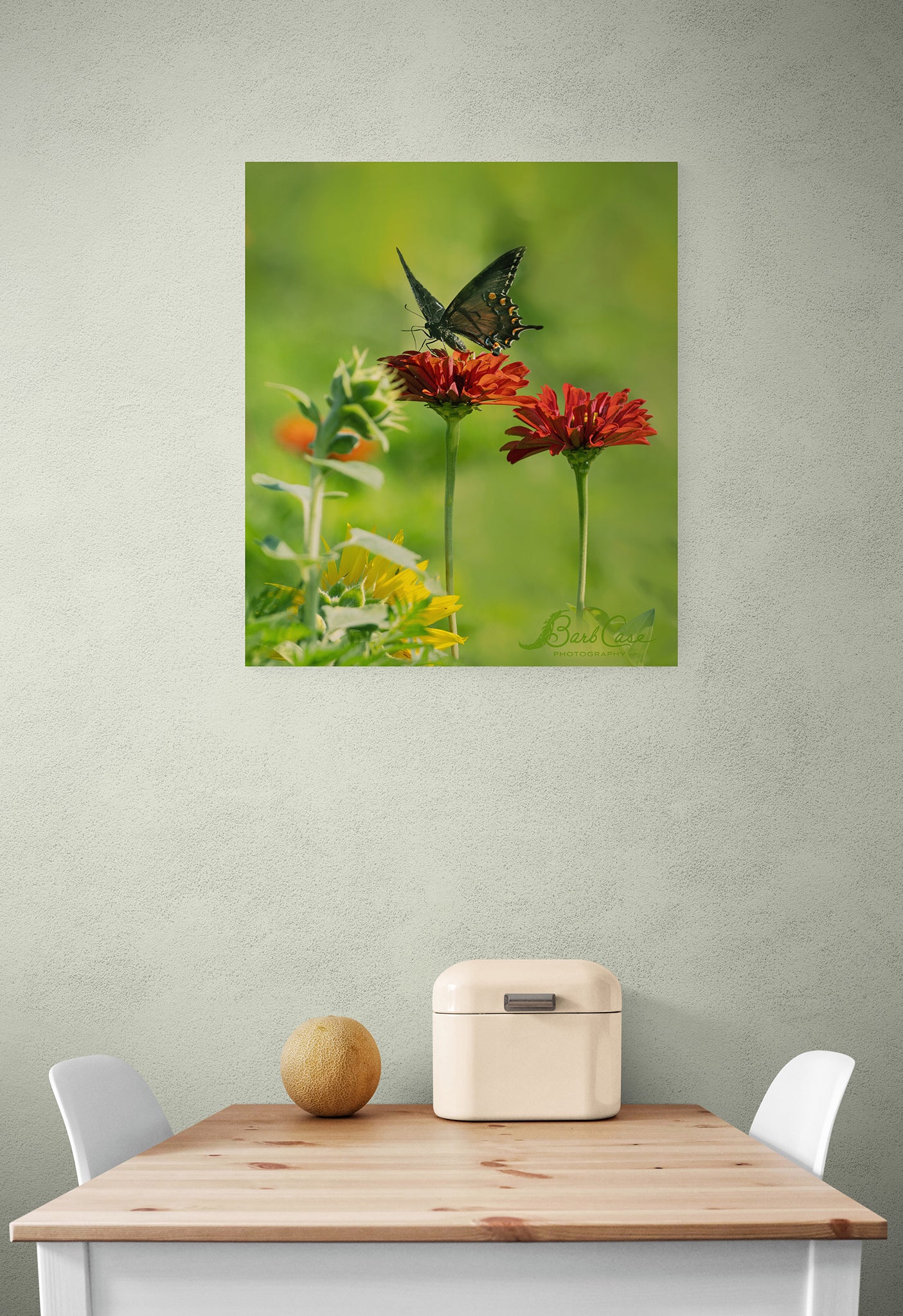 Black Swallowtail Among Zinnias