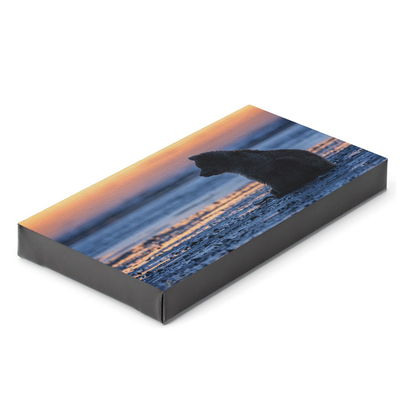 Cook Inlet Sunrise Cub