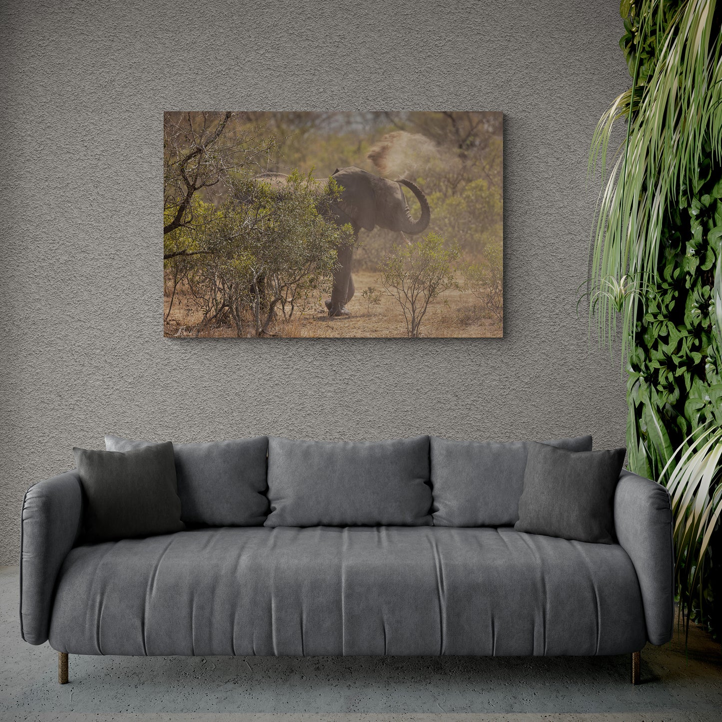 Dusty Elephant
