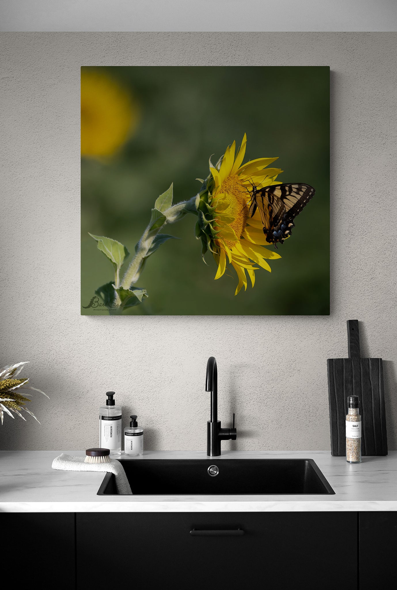 Eastern Tiger Swallowtail
