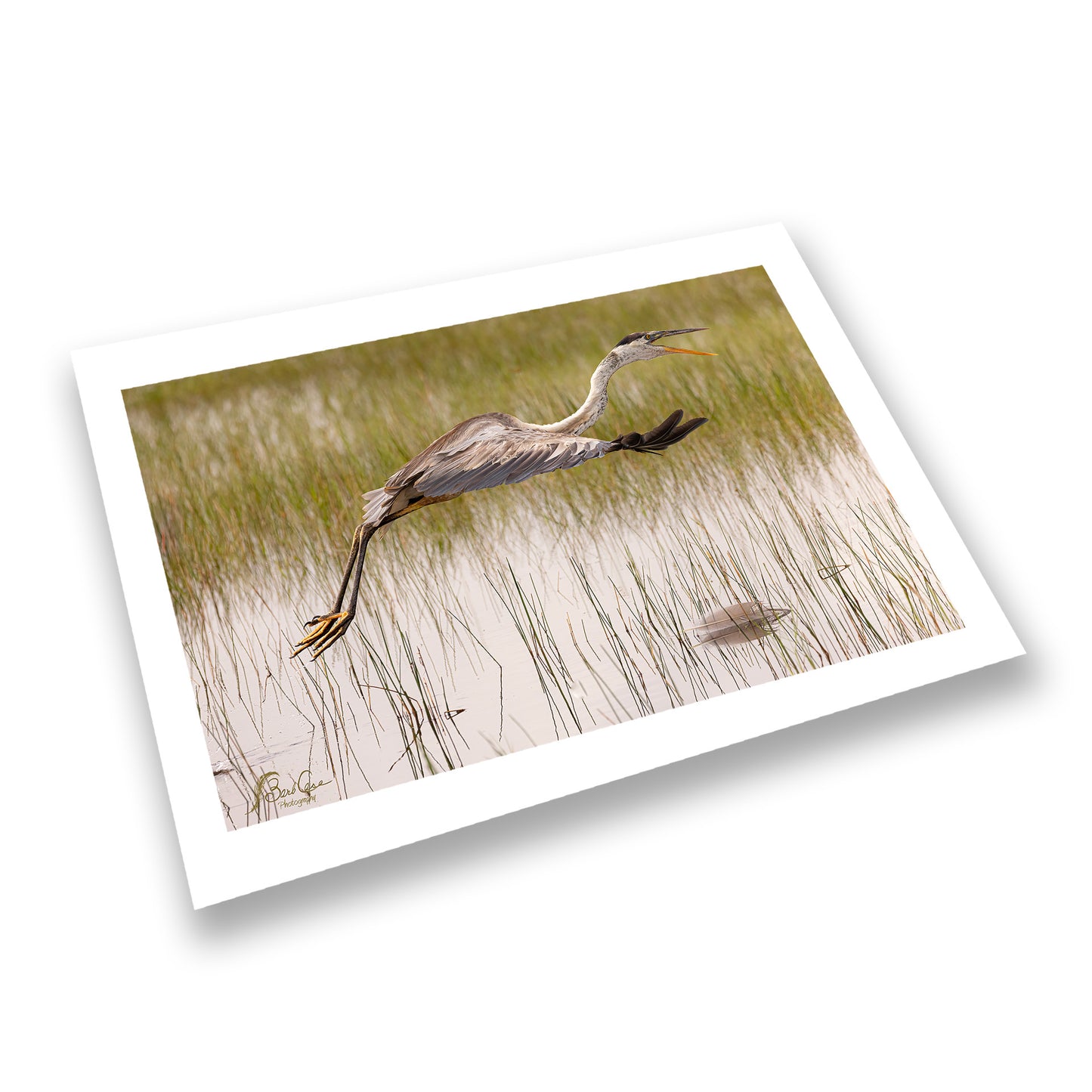 Everglades Flight