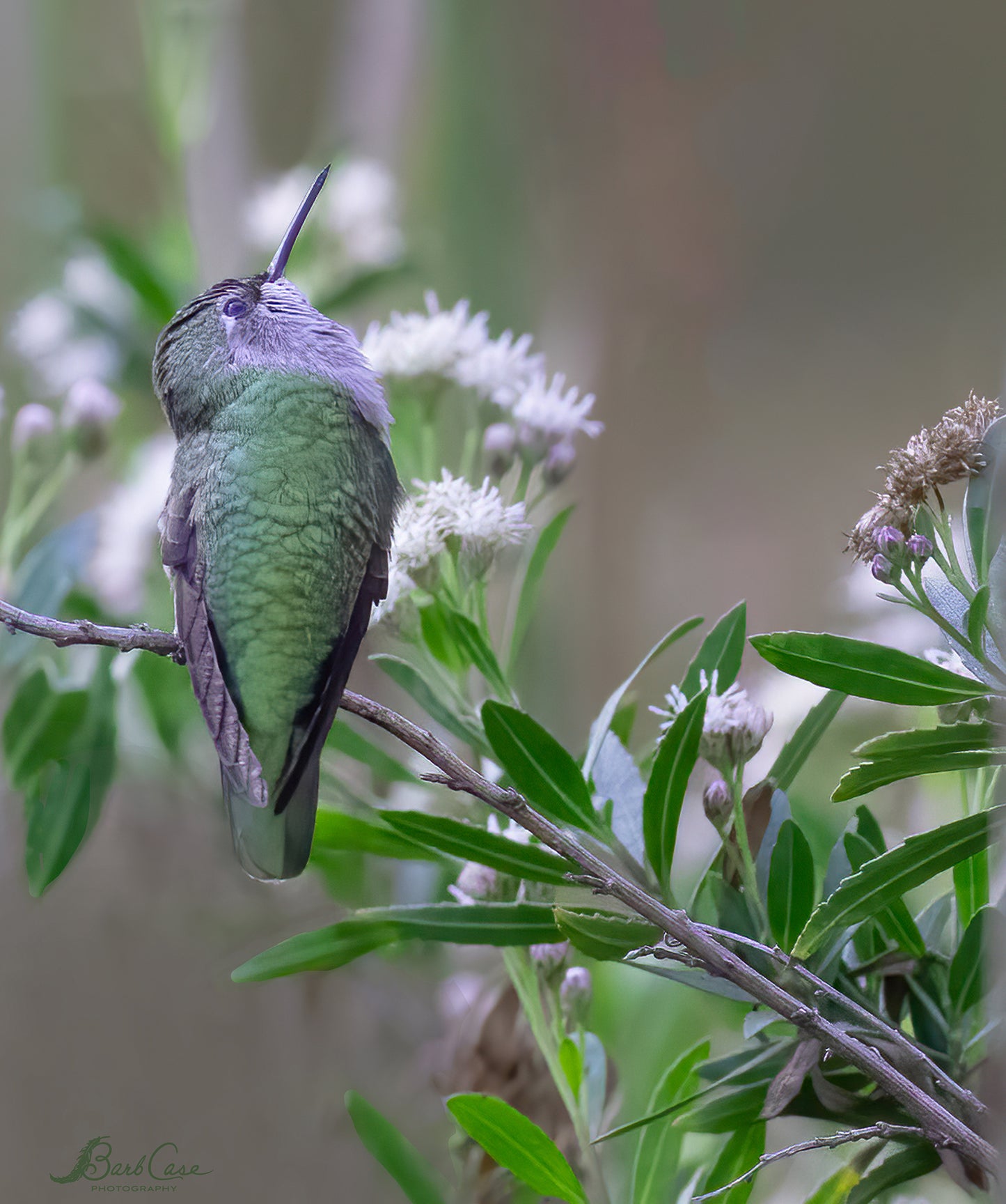 Hummer In Green