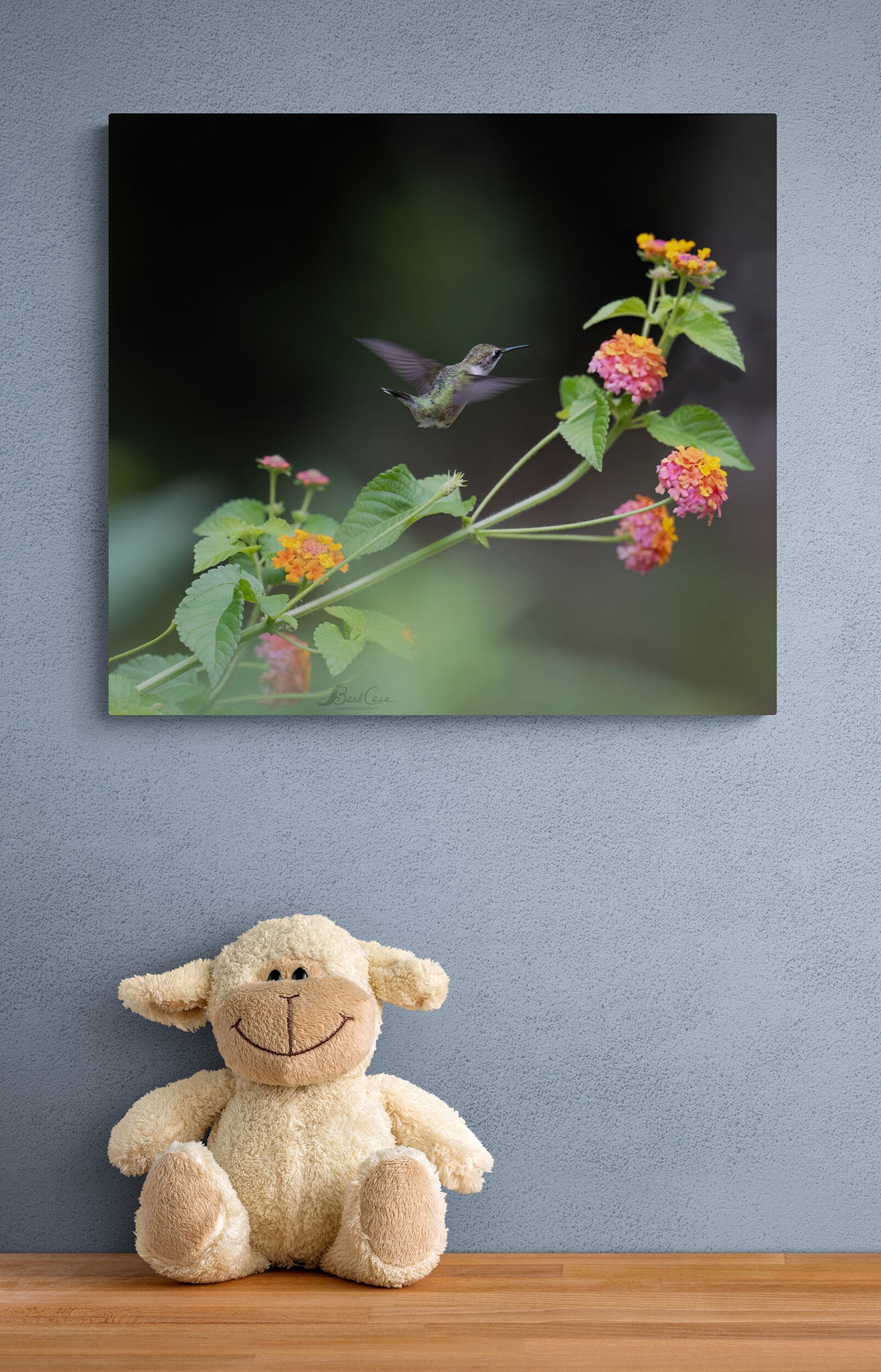 Hummingbird Among Lantana 1