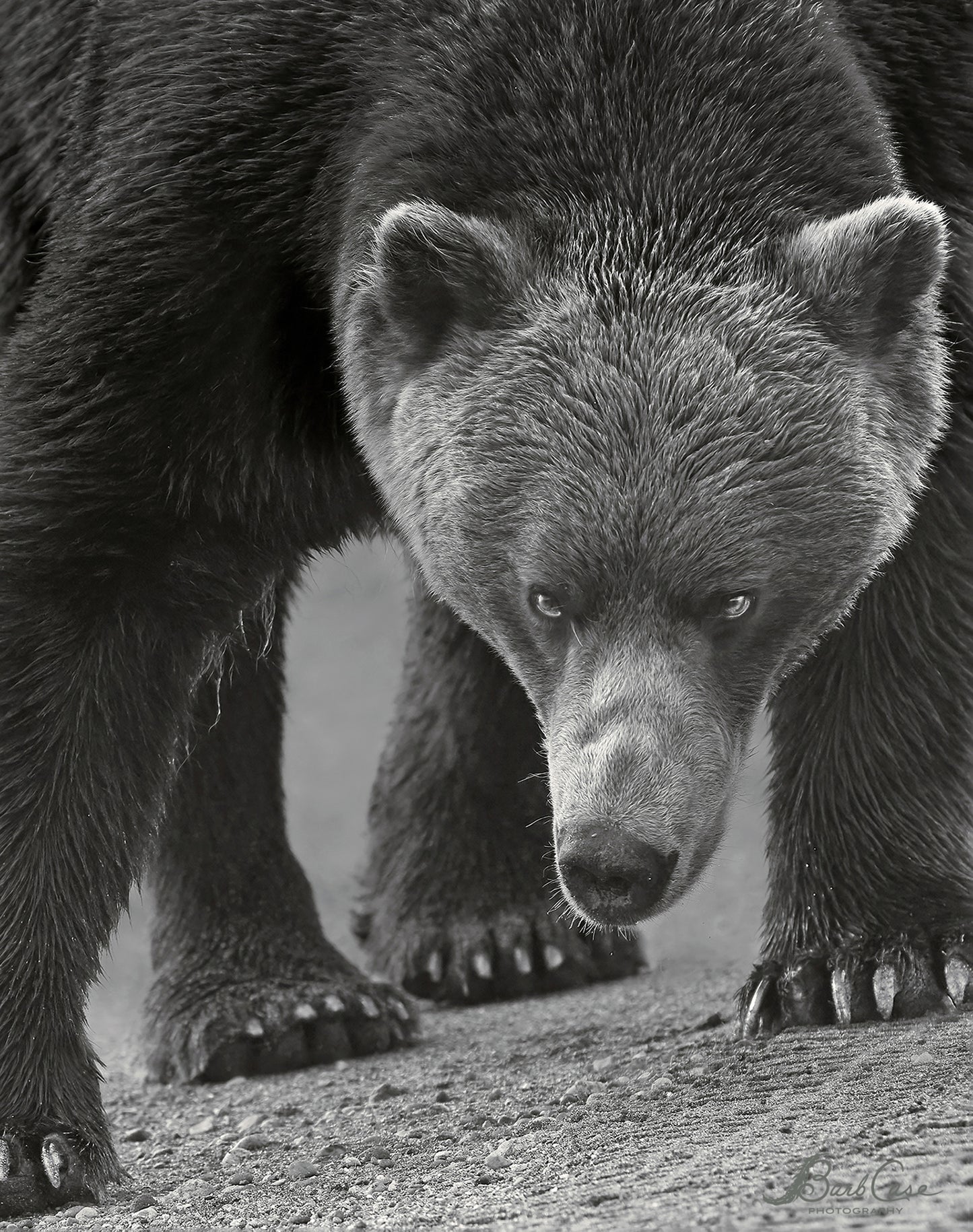 Intimidation