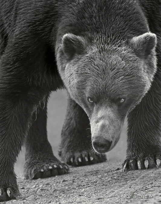 Intimidation