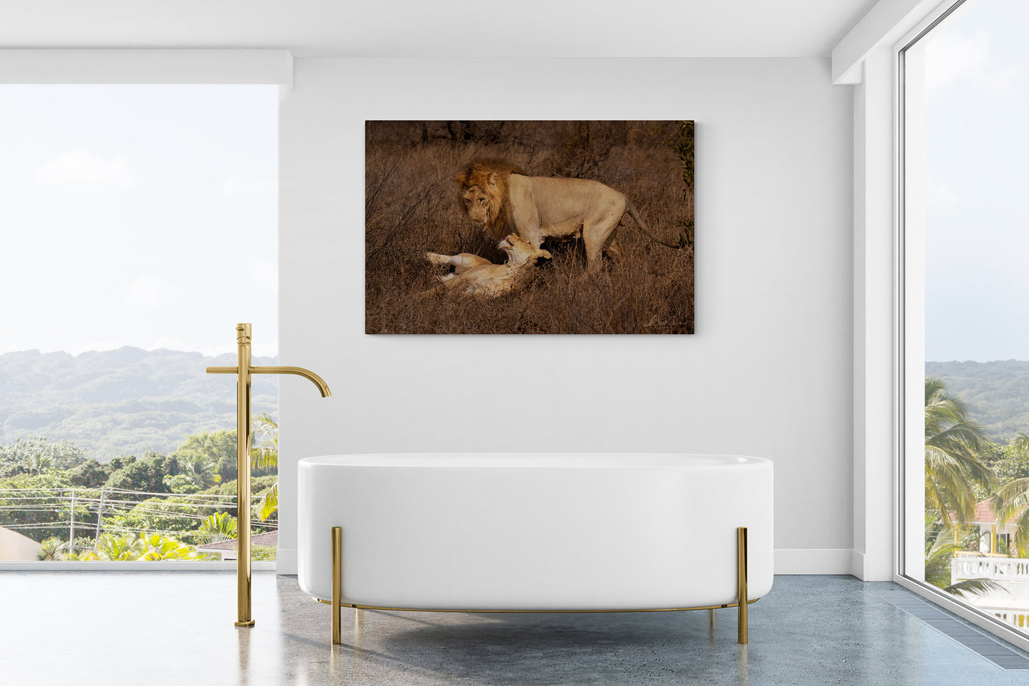 Lion Love