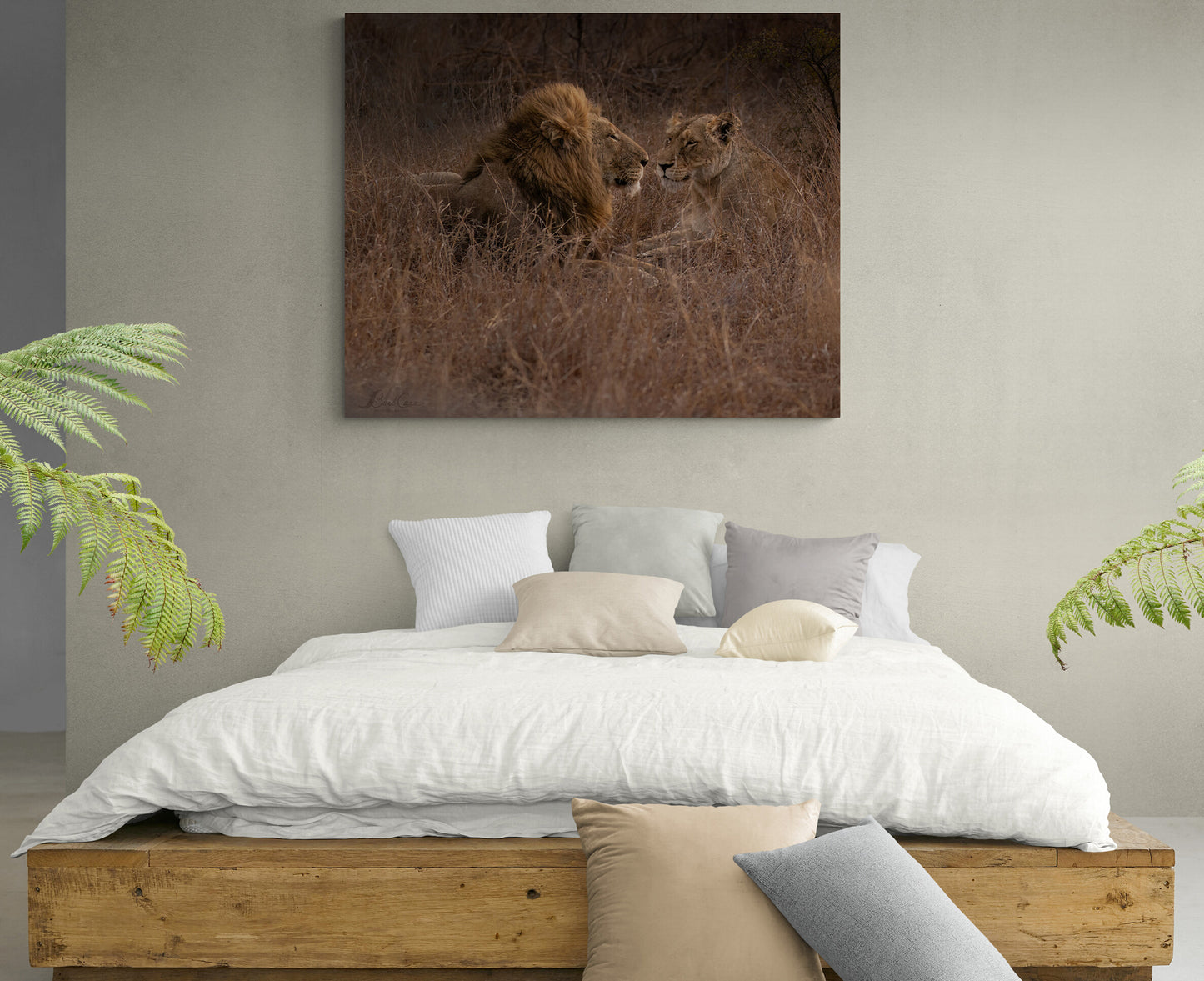 Loving Lions