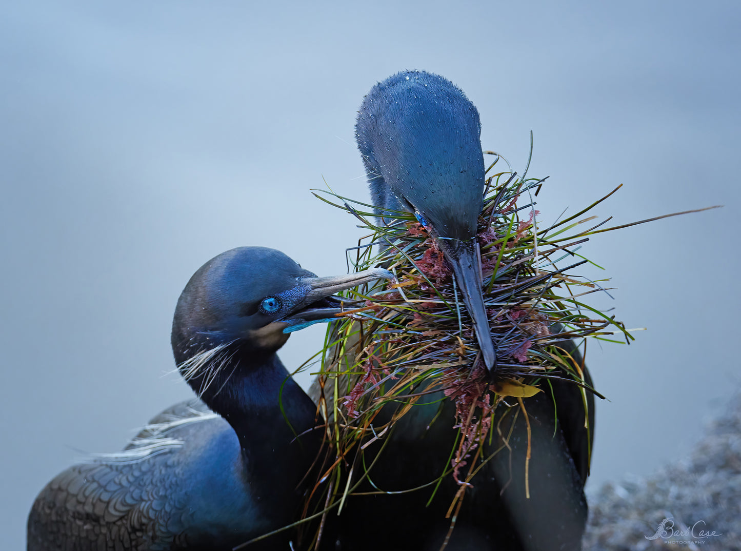 Nesting