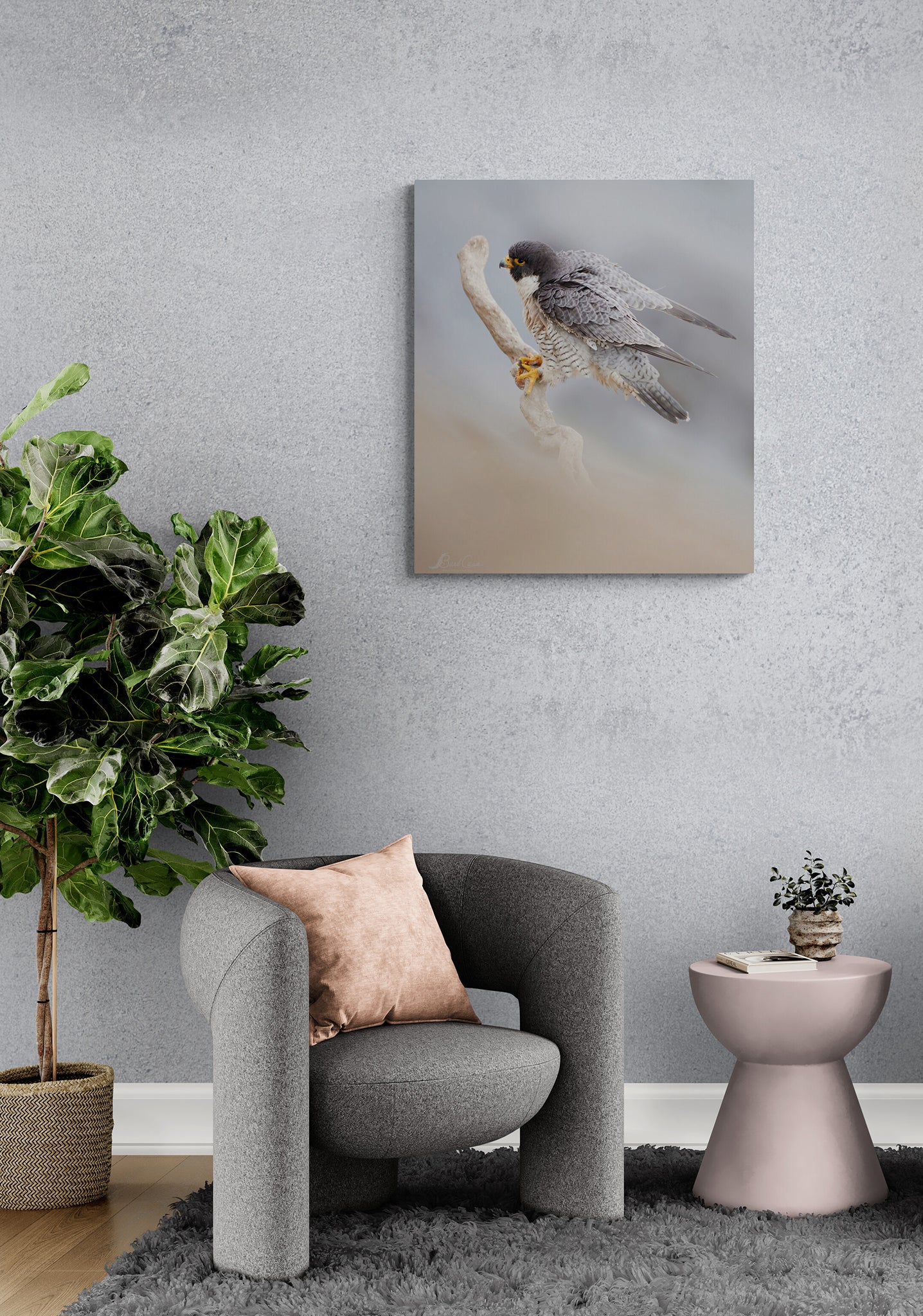 Peregrine