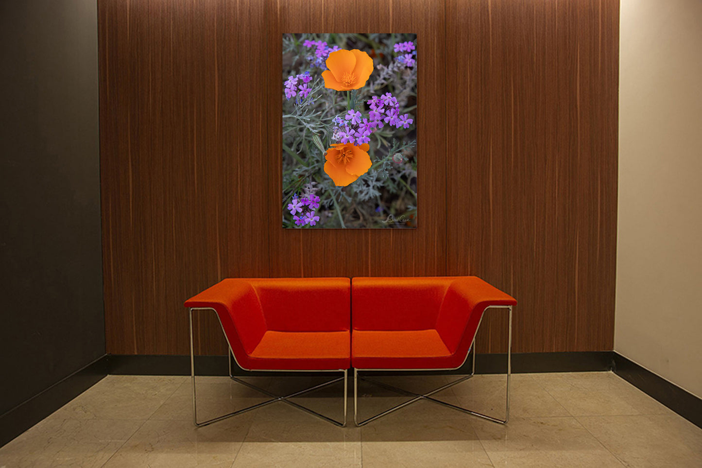 Splash of Orange