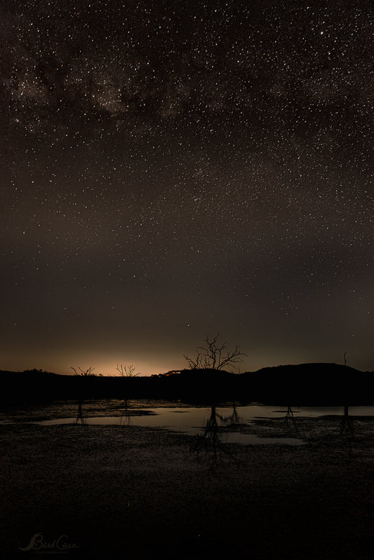 Starlight Over Madikwe