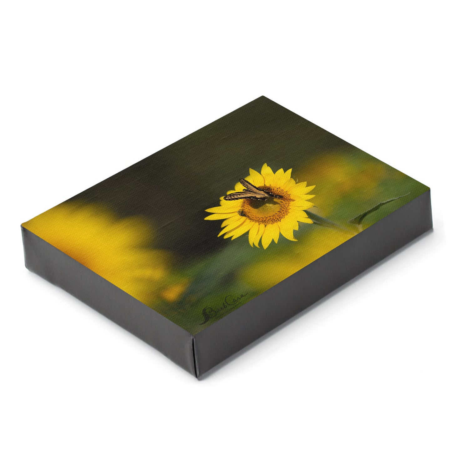 Sunflower Sunshine