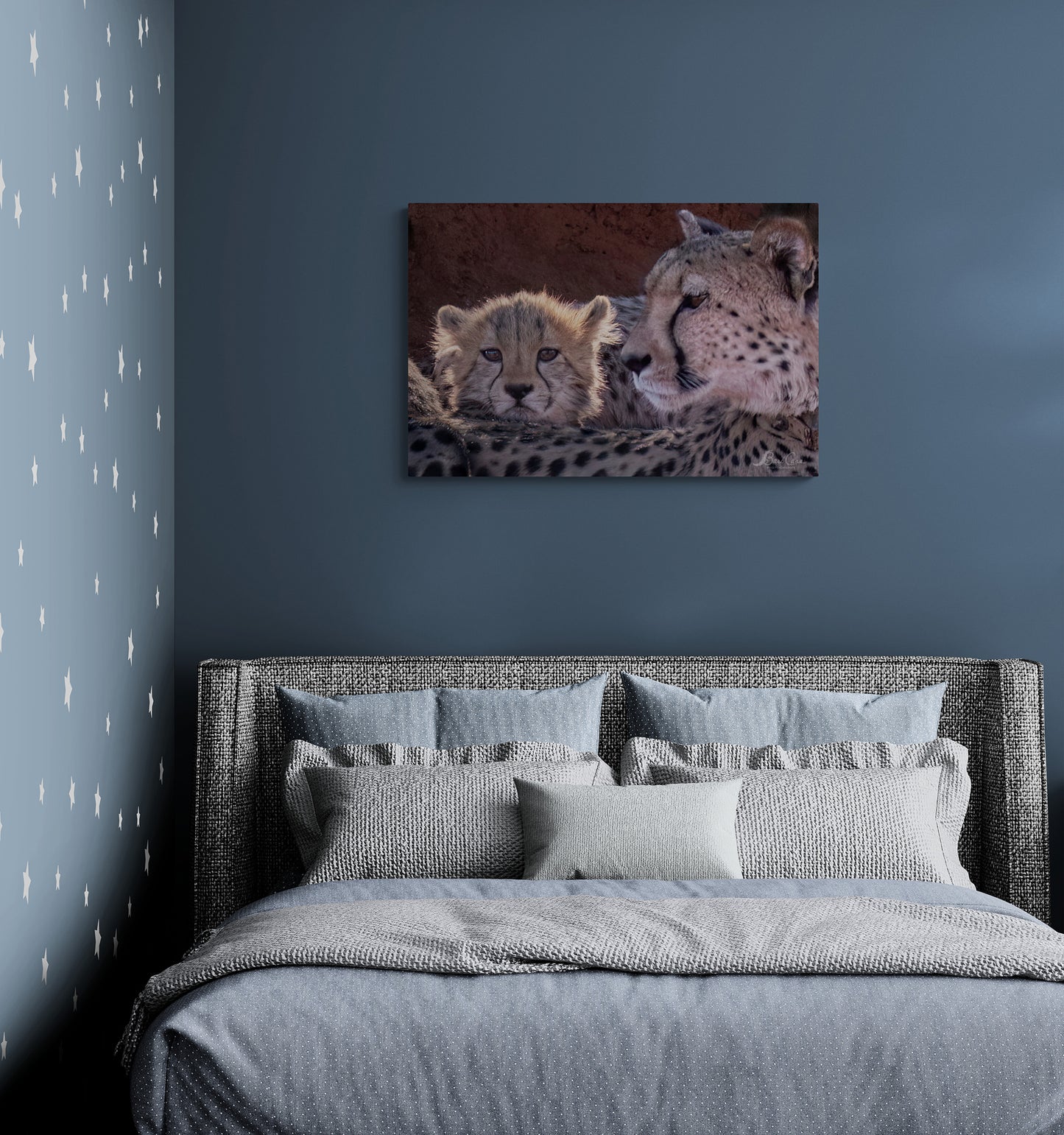 Sweet Cheetah Cub