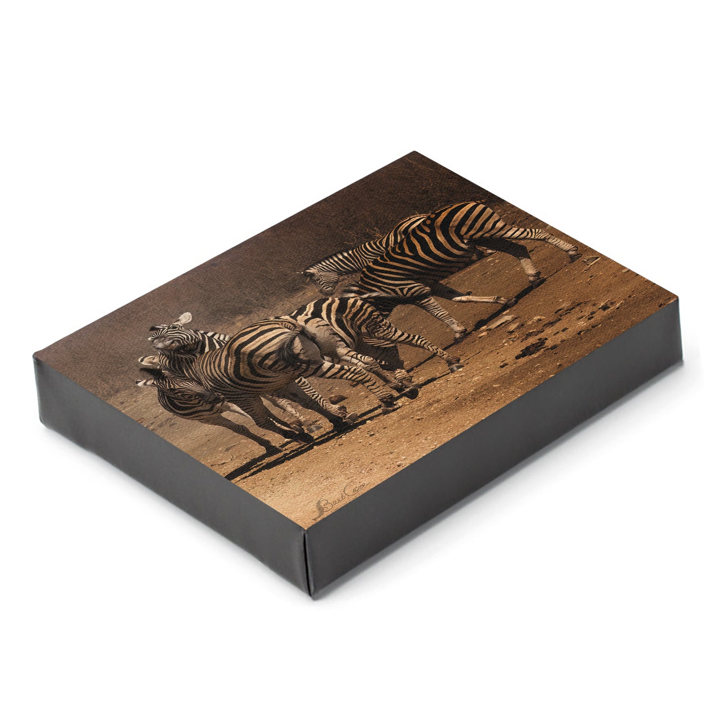 Zebra Fun