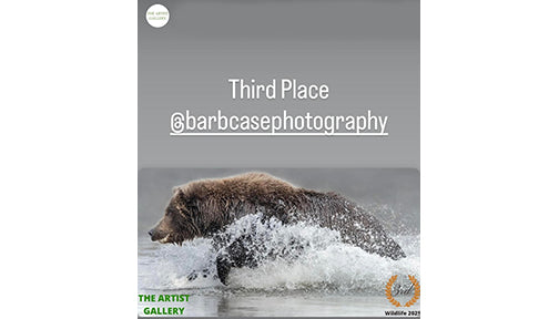 2025 The Artist Gallery Awards International Wildlife Photo Contest 3rd Place