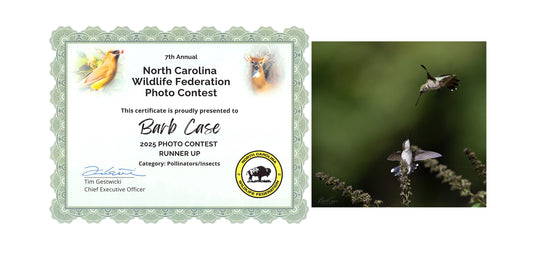 NC Wildlife Federation 2025 Wildlife Photo Contest