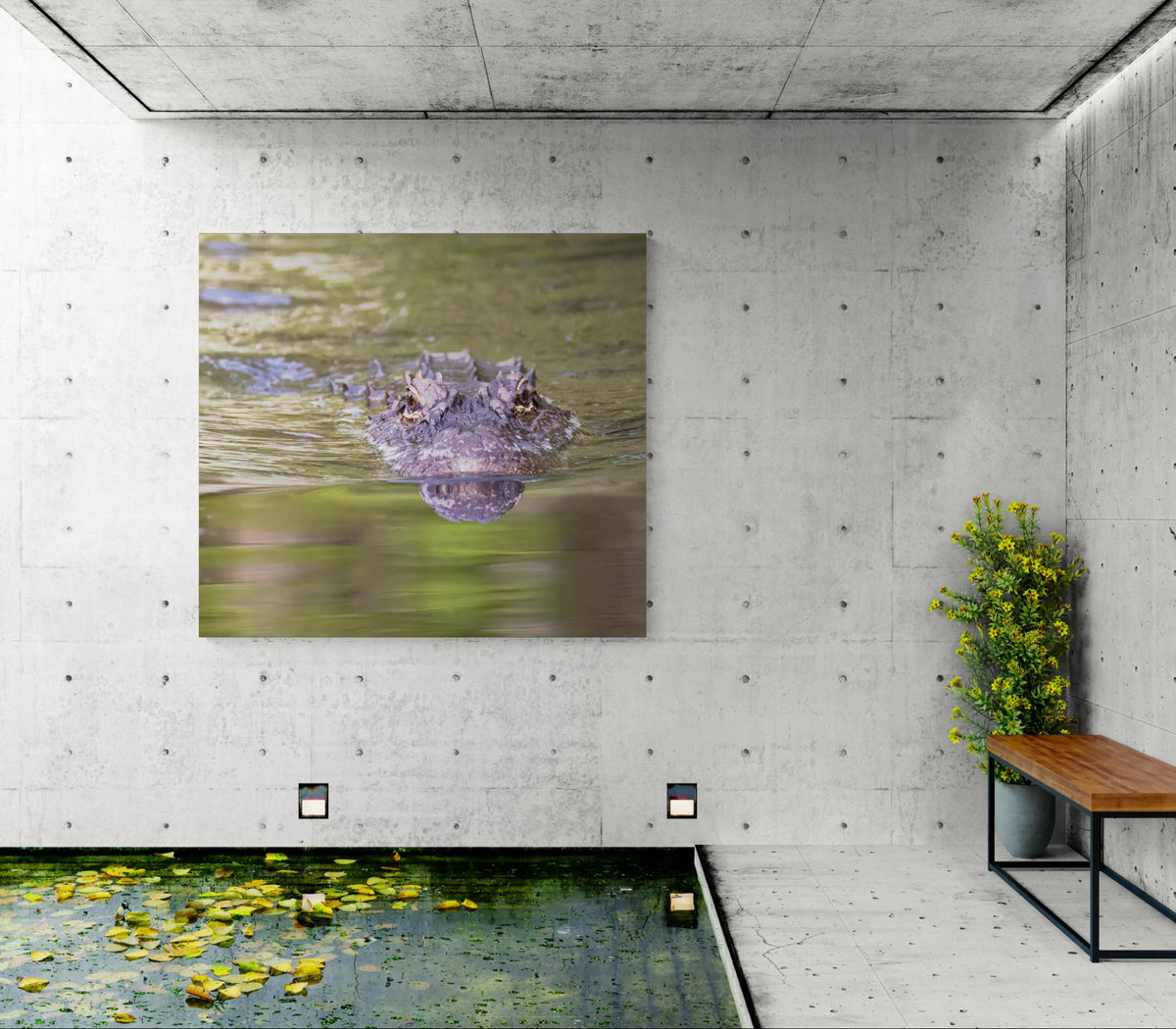 Alligator Portrait in ARNWR