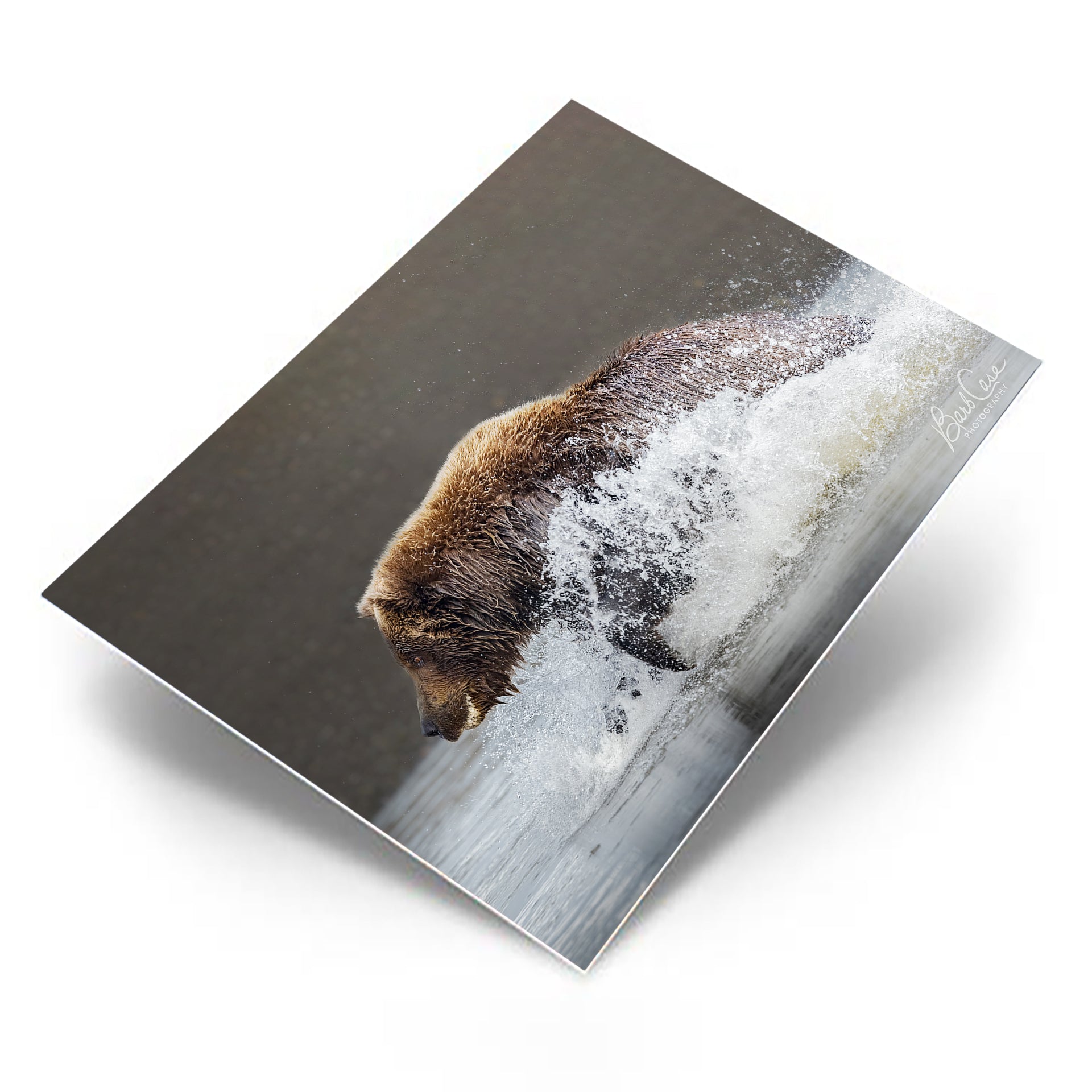 I've Got It – Barb Case Photography