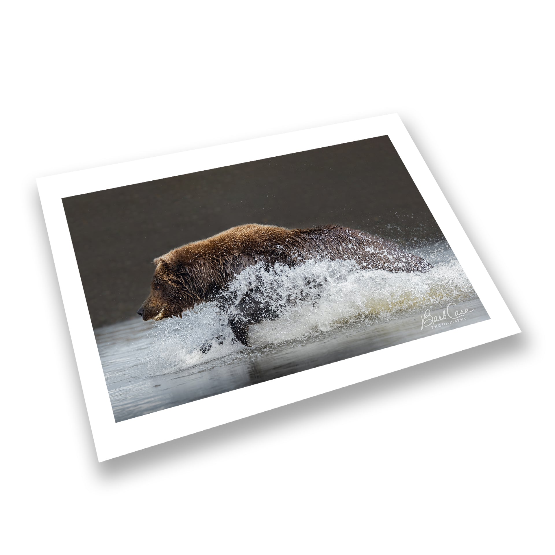 I've Got It – Barb Case Photography